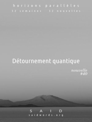 cover image of Détournement quantique